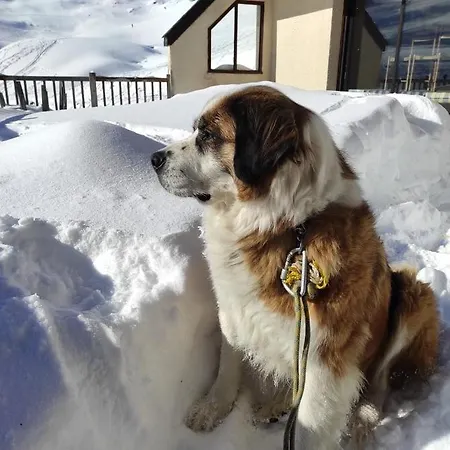 D'hotes Au Vieux Logis Nistos