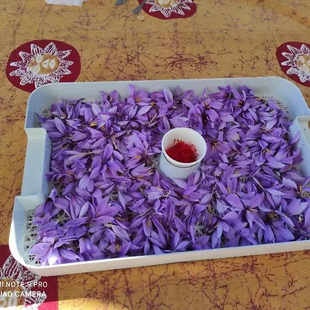 Panzió D'hotes Au Vieux Logis *