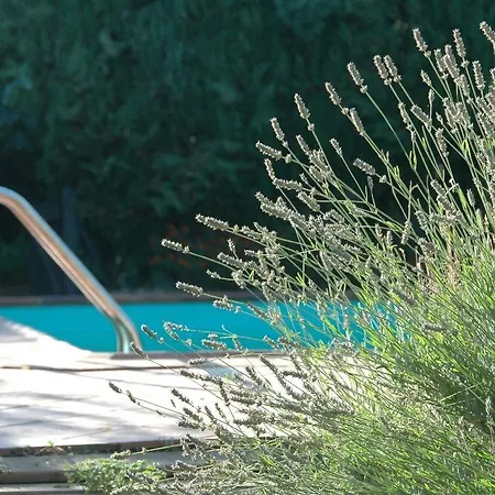 D'hotes Au Vieux Logis * Nistos