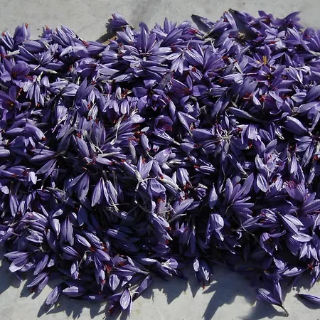 D'hotes Au Vieux Logis Nistos