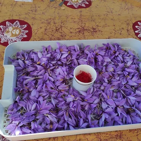 D'hotes Au Vieux Logis * Nistos