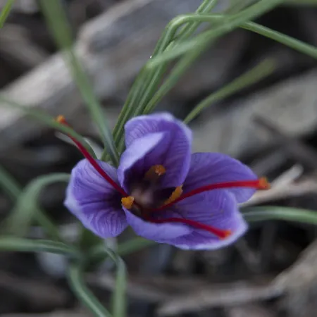 D'hotes Au Vieux Logis Nistos