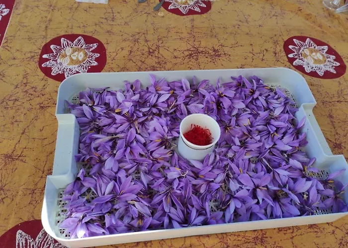 D'hotes Au Vieux Logis * Nistos