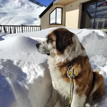 D'hotes Au Vieux Logis Nistos