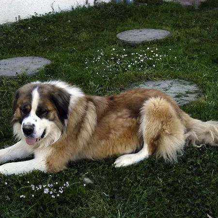 D'hotes Au Vieux Logis